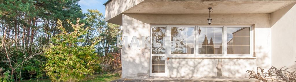 Blizniak  z linią lasu białe błota