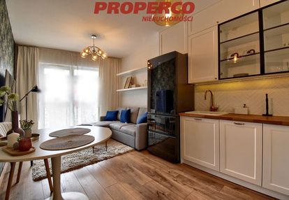 Apartament, 2 pok, 54 m2, centrum, zagnańska