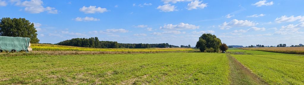 Działka 600 m² na sprzedaż – torzewo, gm. kozjaty