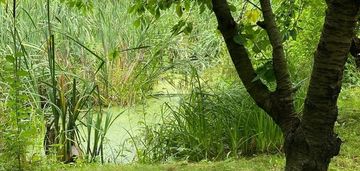 Dom z potencjałem + działka w cenie