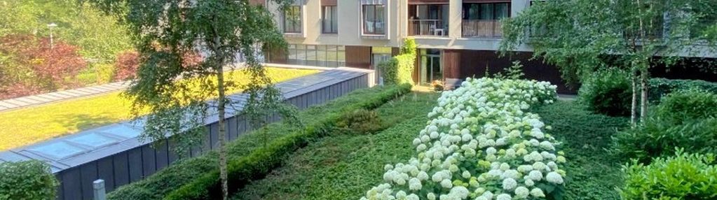 Piękny widok na walońskiej