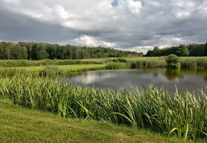 Działka na sprzedaż 3400m2