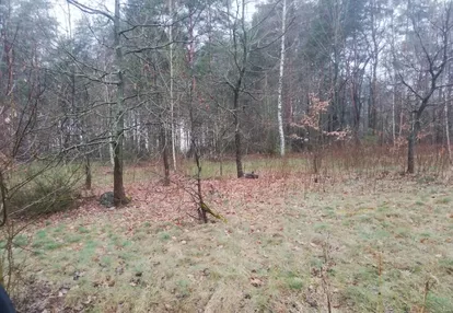 Działka na sprzedaż 5000m2