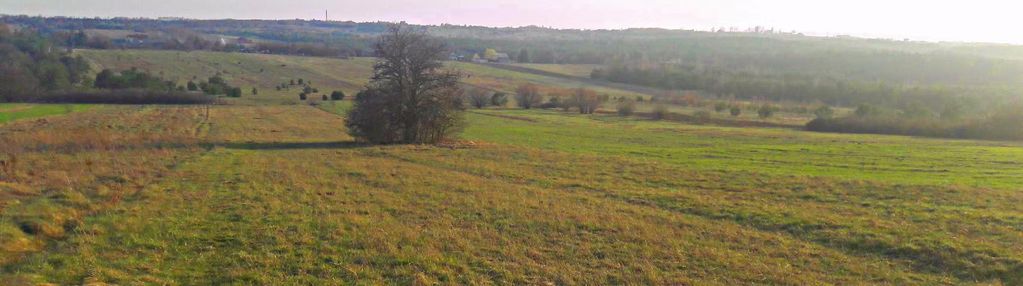 Duża działka z potencjałem