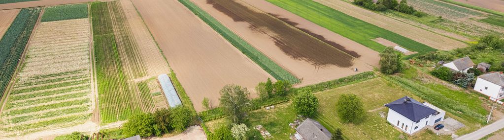 12 arów pod krakowem, blisko szkoły