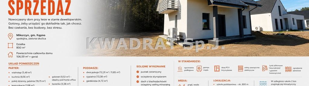 Dom pod lasem- mikorzyn