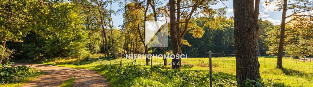 Przestrzeń między lasem, jeziorem a morzem