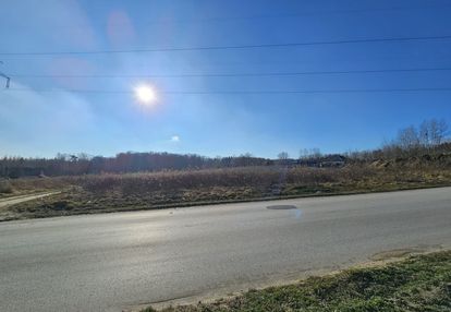 Duża działka pod inwestycję usługową- dąbrówka w