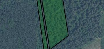 Oferta sprzedaży działek leśnych /nowe brusno/