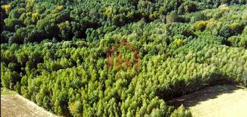 Las i grunty na sprzedaż gnojnica, gmina ropczyce | 1,58 ha |