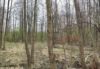 Usługi turystyki, rekreacji, sportu