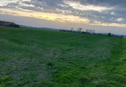 Działka na sprzedaż 3000m2