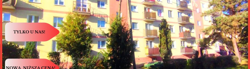 Tylko w naszym biurze 43 metry z potencjałem