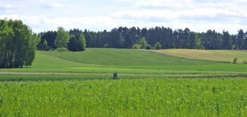 Duża działka z wz w jasionce / sokolnik
