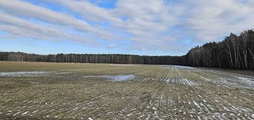 Grunt rolny 4,98 ha, lechlin gmina skoki