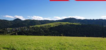 Działka w grywałdzie; 1,1003 ha; warunki zabudowy