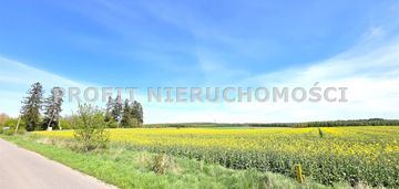 Działka budowlana z dojazdem z drogi asfaltowej