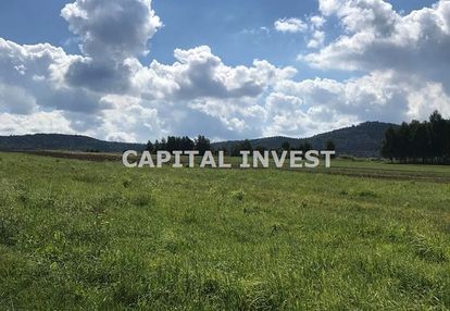 Chocznia 2 ha pod górami