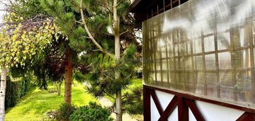 Duży taras, zadbany ogród