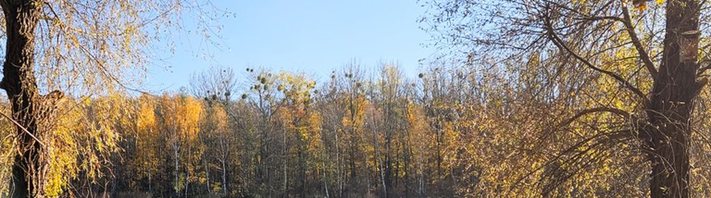 Dom otwarty - sobota 17.01