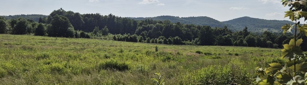 Nowy julianów. świetnie skomunikowana działka.