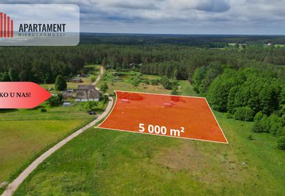 Działka 5000 m2 ze ścianą lasu, raj dla duszy