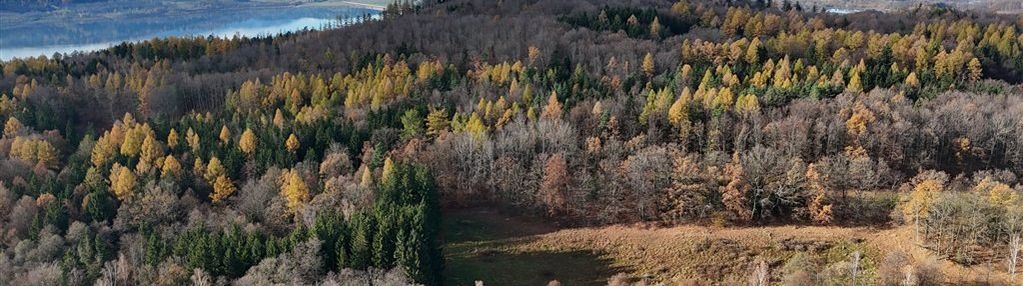 Działka budowlana – 1,11 ha | staniszów