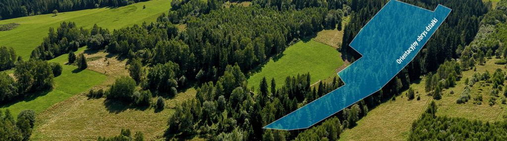 Działki leśne  sieniawa