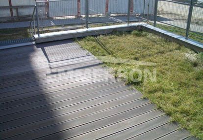 Mieszkanie na wynajem wilanów 75 m² | ogródek 80 m