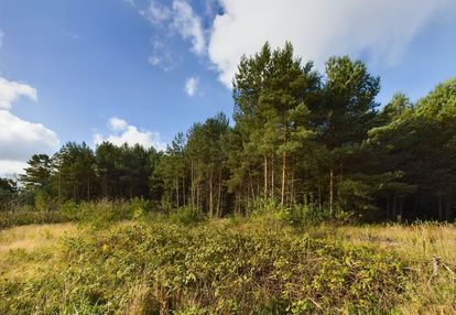 Urokliwa działka rekreacyjno-budowlana, gostyniec