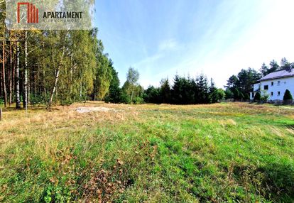 Działka budowlana ze ścianą lasu .