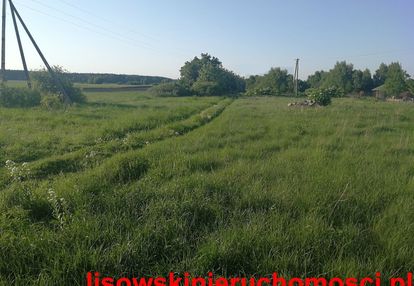 Działki w parzęczewnie 0,3ha i 0,08ha za 50zł/m2
