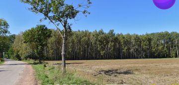 Działka w dobrzyńcu 15 200 m2