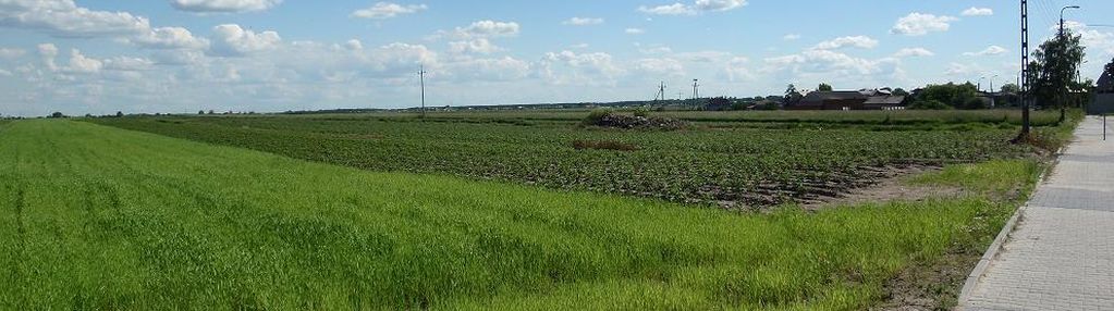 Działka 2,3ha białołęka zabudowa mieszkaniowa.