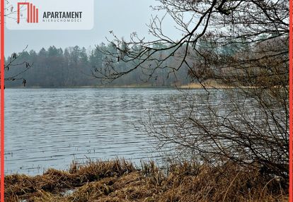 Nad jeziorem, przy lesie.