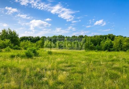 Działki inwestycyjne w runowie o pow. 3,7271 ha