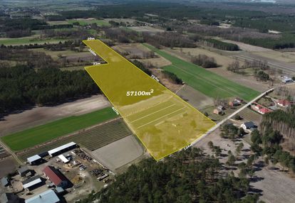 Spełnij marzenie o własnym! – 5,7 ha w leśniakach