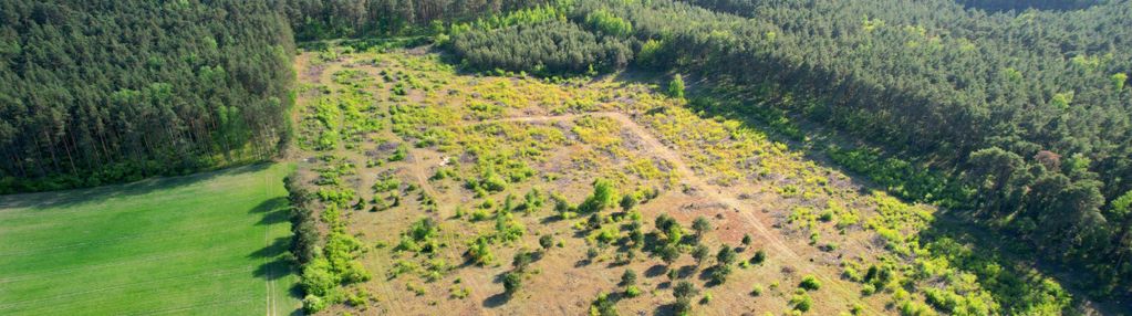 Działka-  projekt i pozwolenie na budowe gratis