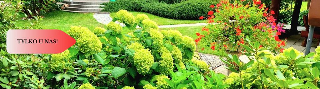 Dom-rezydencja nakło fotowoltaika klimatyzacja