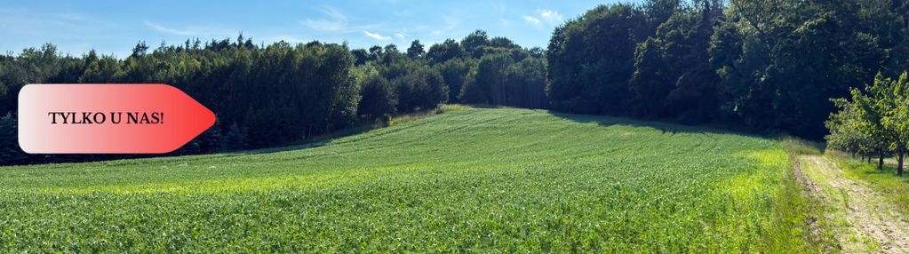 Tylko u nas! działka 1,13 ha gruczno media wz