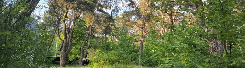 Działka budowlana józefów 1733m2 starodrzew