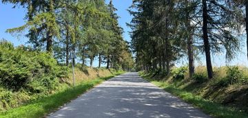 Duży potencjał i duża działka - obrzeża ciężkowic