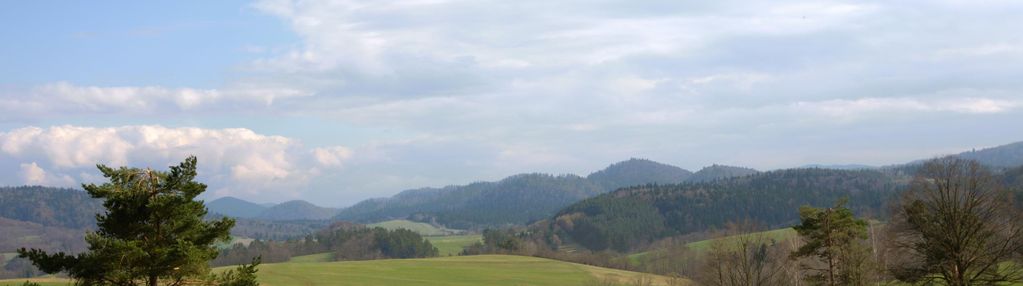 Bieszczady- działki w super cenie i lokalizacji.