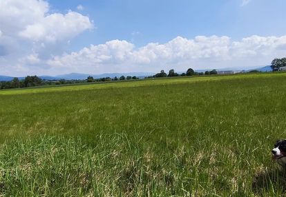 Lipowa | widokowa działka budowlana 1507 m²