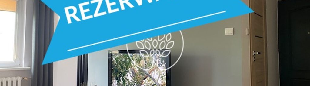Przytulna kawalerka blisko umk od października