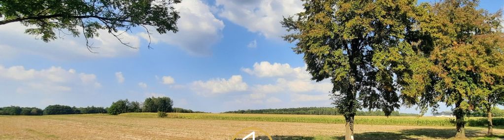 Działka przy drodze wojewódzkiej