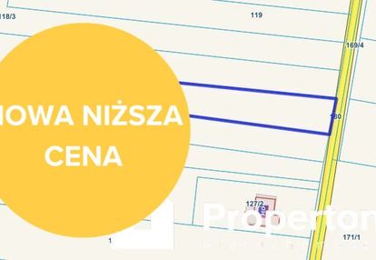 Działka w kolonii biskupie