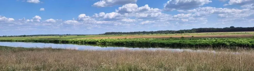 Działka z linią brzegową rzeki Narew, Ruś (Wizna)