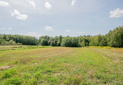 Działka zagrodowa poręba radlna-gm. tarnów!