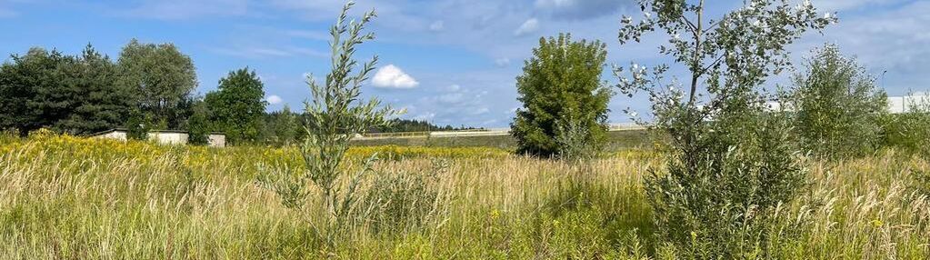 Działka 618 m² pod usługi i działalność.